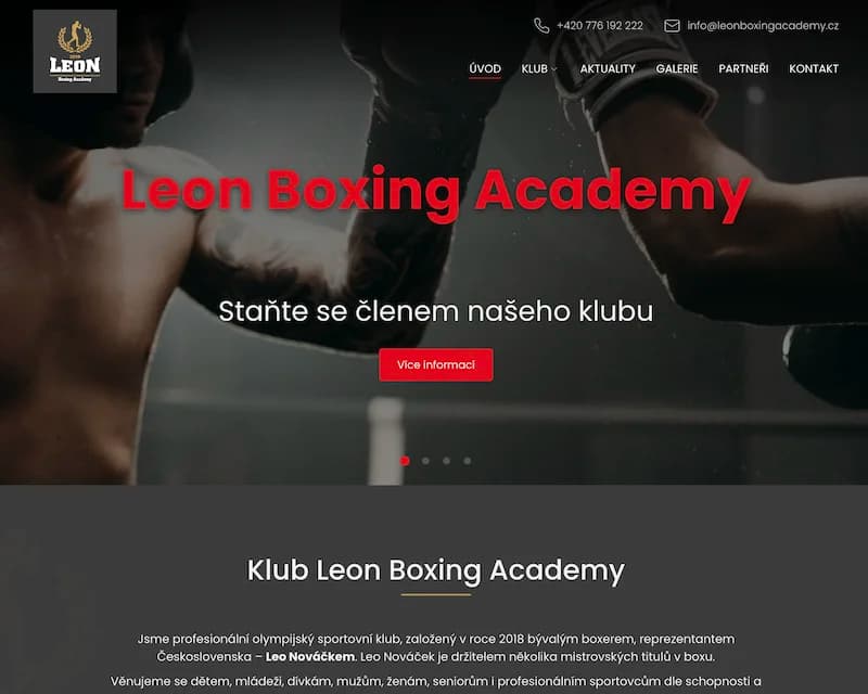 LEON Boxing Academy